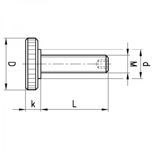 Adjusting Screw