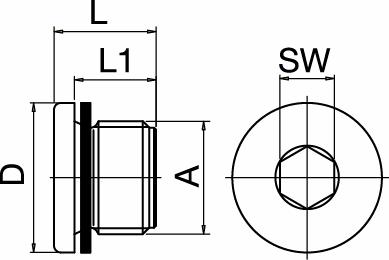 Pressure Blind Plug Threaded